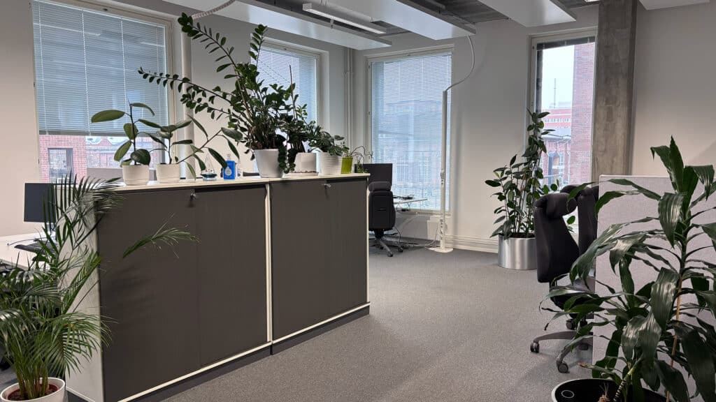 Valkoisen ja harmaan sävyillä sisustettu toimistotila jossa runsaasti viherkasveja.